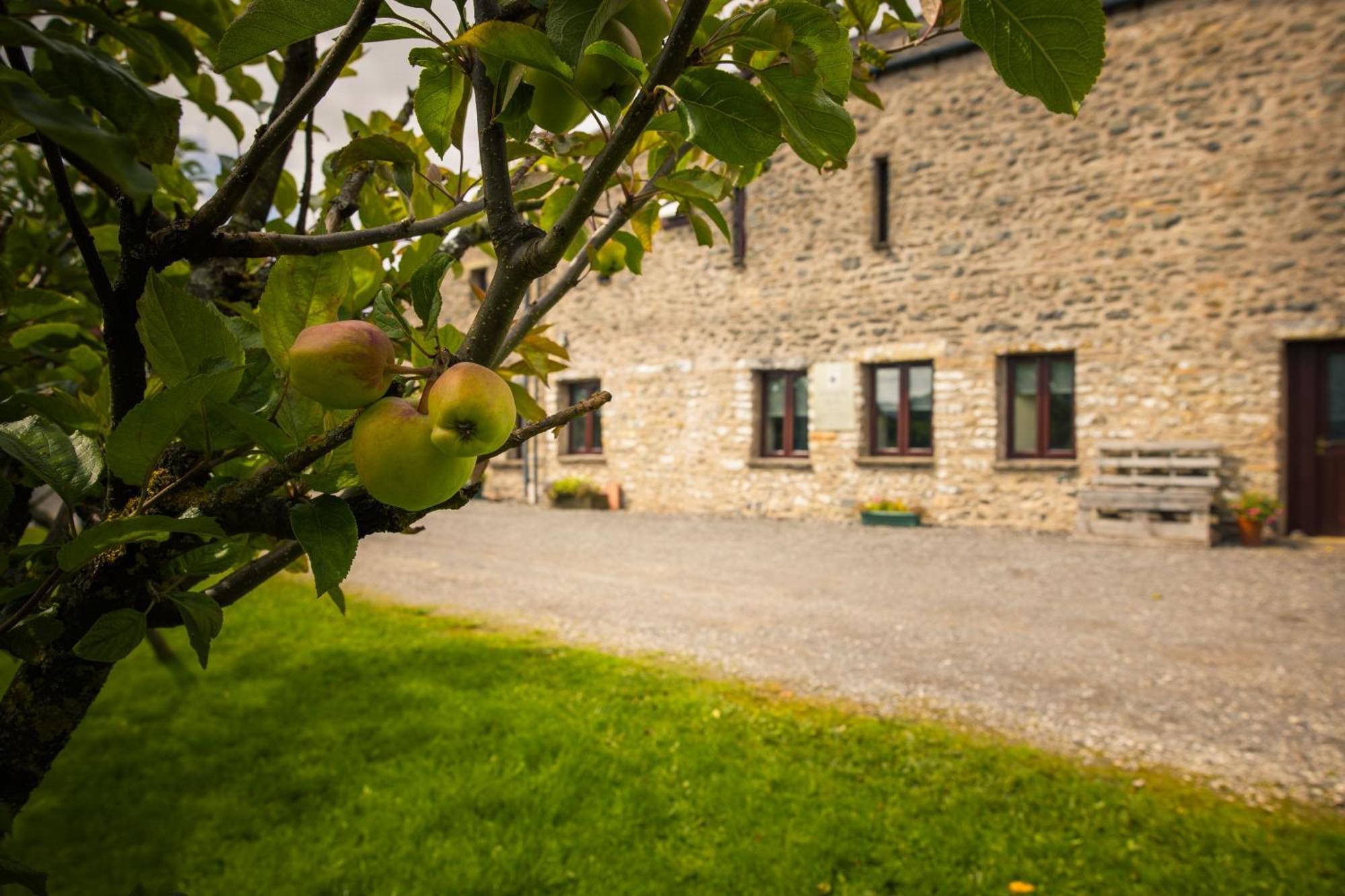 Howgills Barn Villa Sedbergh Exterior photo